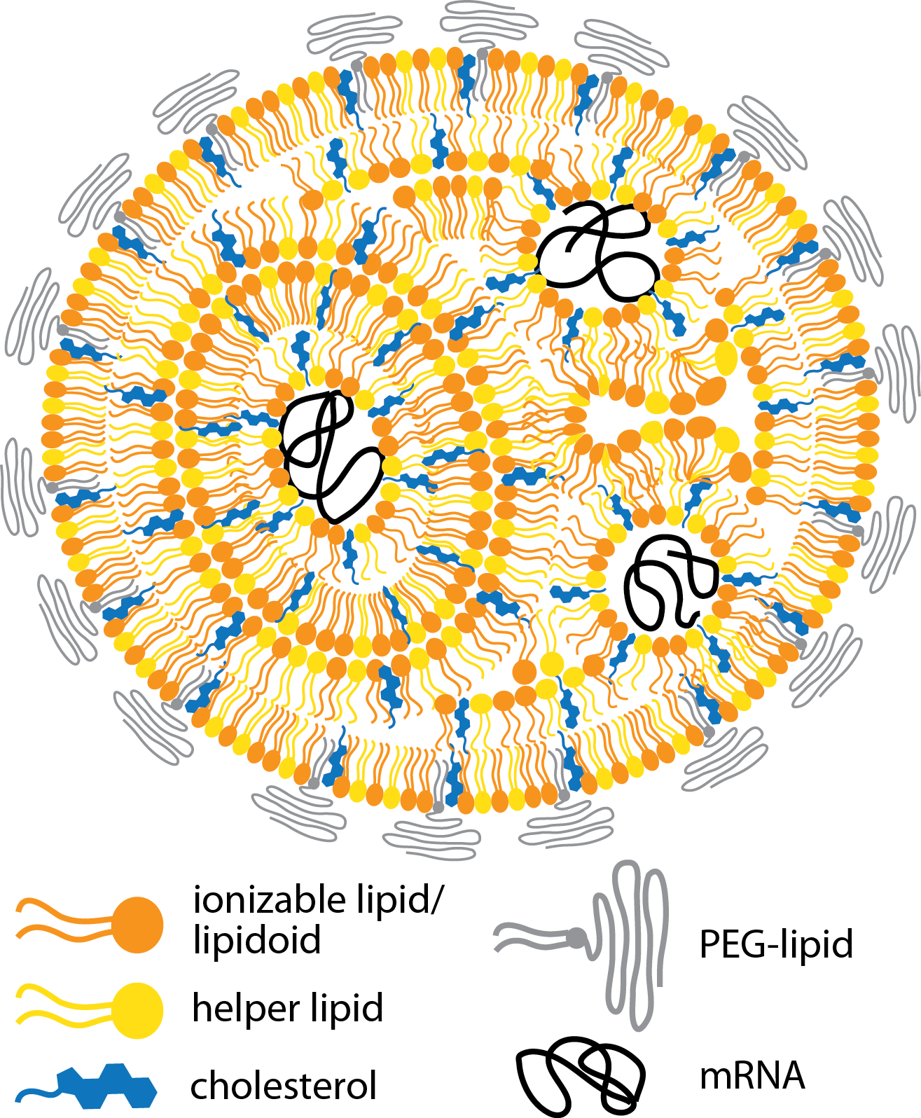 research image